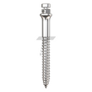 Orthodontic Buccal Shelf Micro-Implant (TADs)