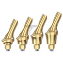 Concave Anatomic Angulated Abutment 25°