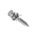 Orthodontic Micro-Implants (TADs)