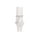 Peek Temporary Anatomic Straight Abutment Narrow Platform (NP)