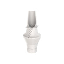 Peek Temporary Anatomic Angled Abutment 15° Regular Platform (RP)