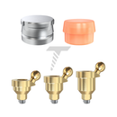 Angulated 30° Ball Attachment Soft Set