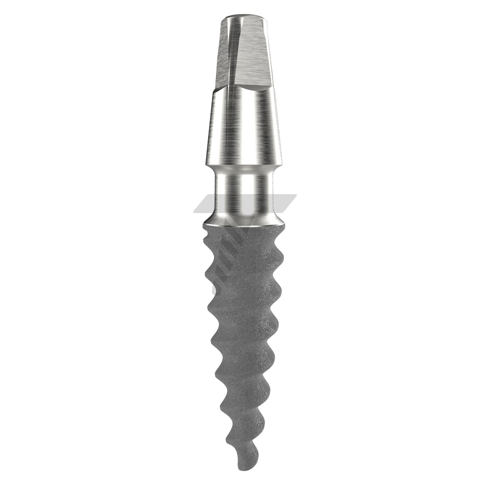 One Piece Implant