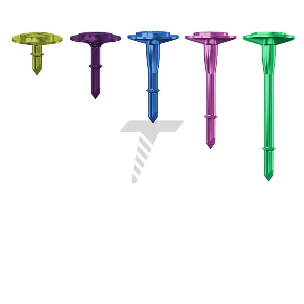 GBR Agadi Bone Tac Screw Ø4.0