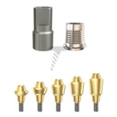 Conjunto CAD/CAM Multi-Unit recto, plataforma regular (RP)