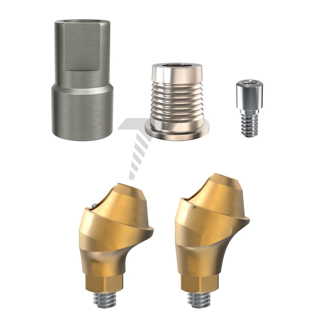 Angulated Multi Unit 17° CAD/CAM Set Regular Platform (RP)