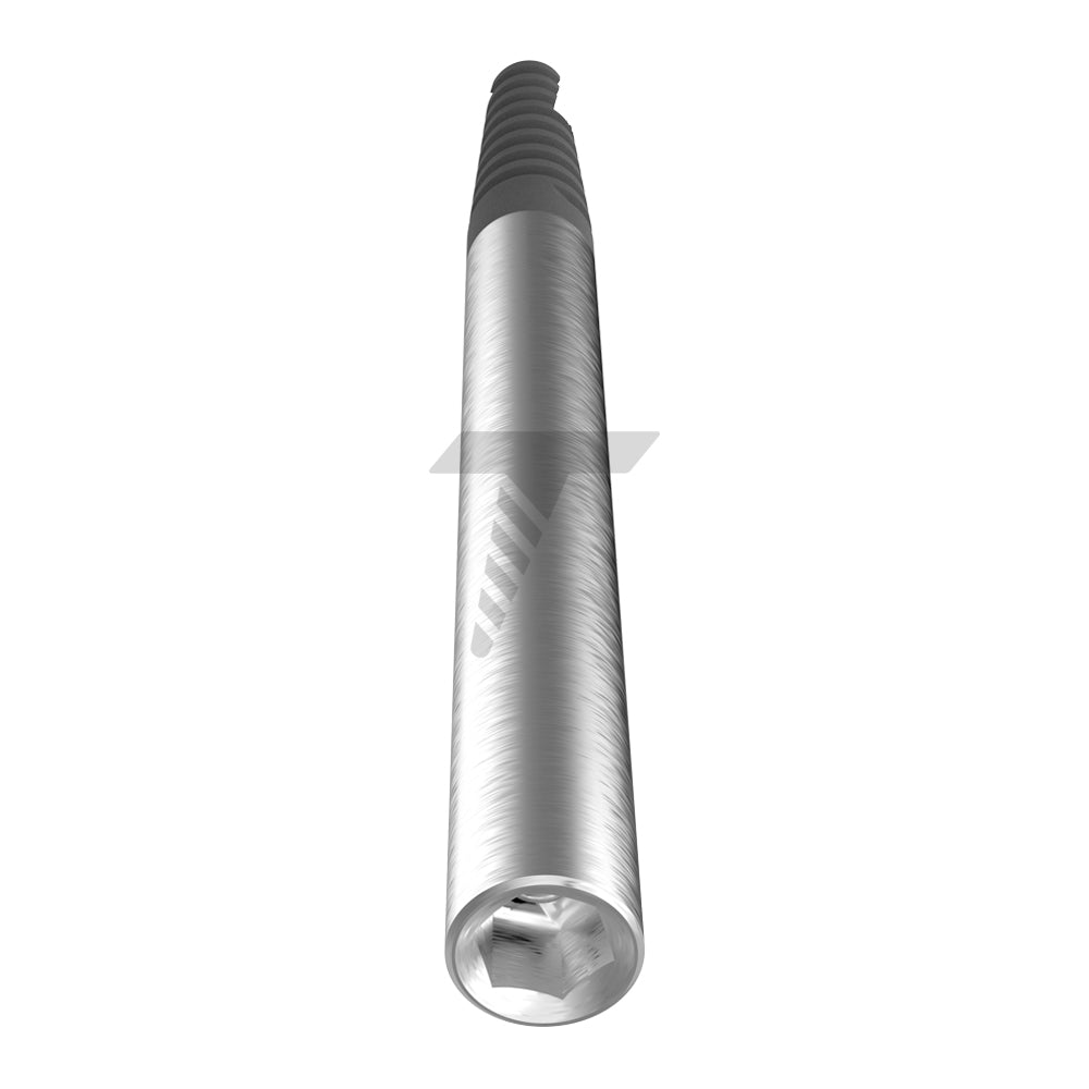 ZYG Zygomatic implant internal hex connection front