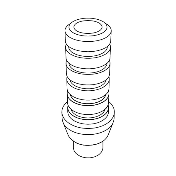 temporary abutment