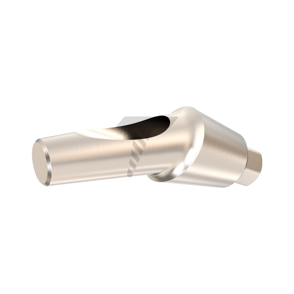Anatomic Angulated Abutment 25°