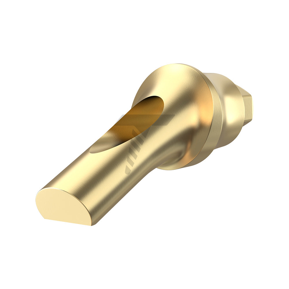 Concave Anatomic Angulated Abutment 25°