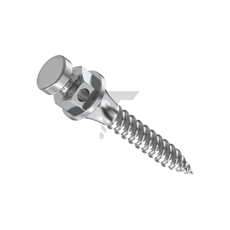 Orthodontic Micro-Implants (TADs)
