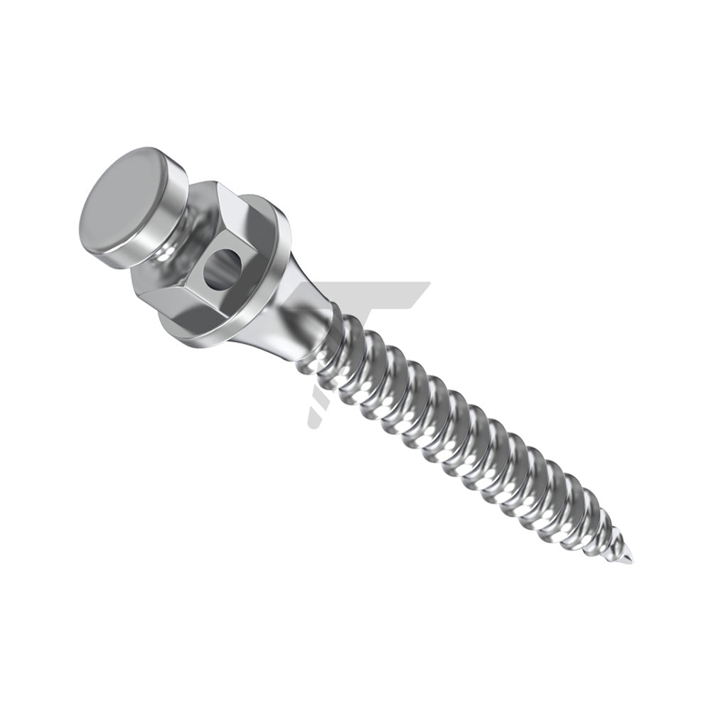 Orthodontic Micro-Implants (TADs)