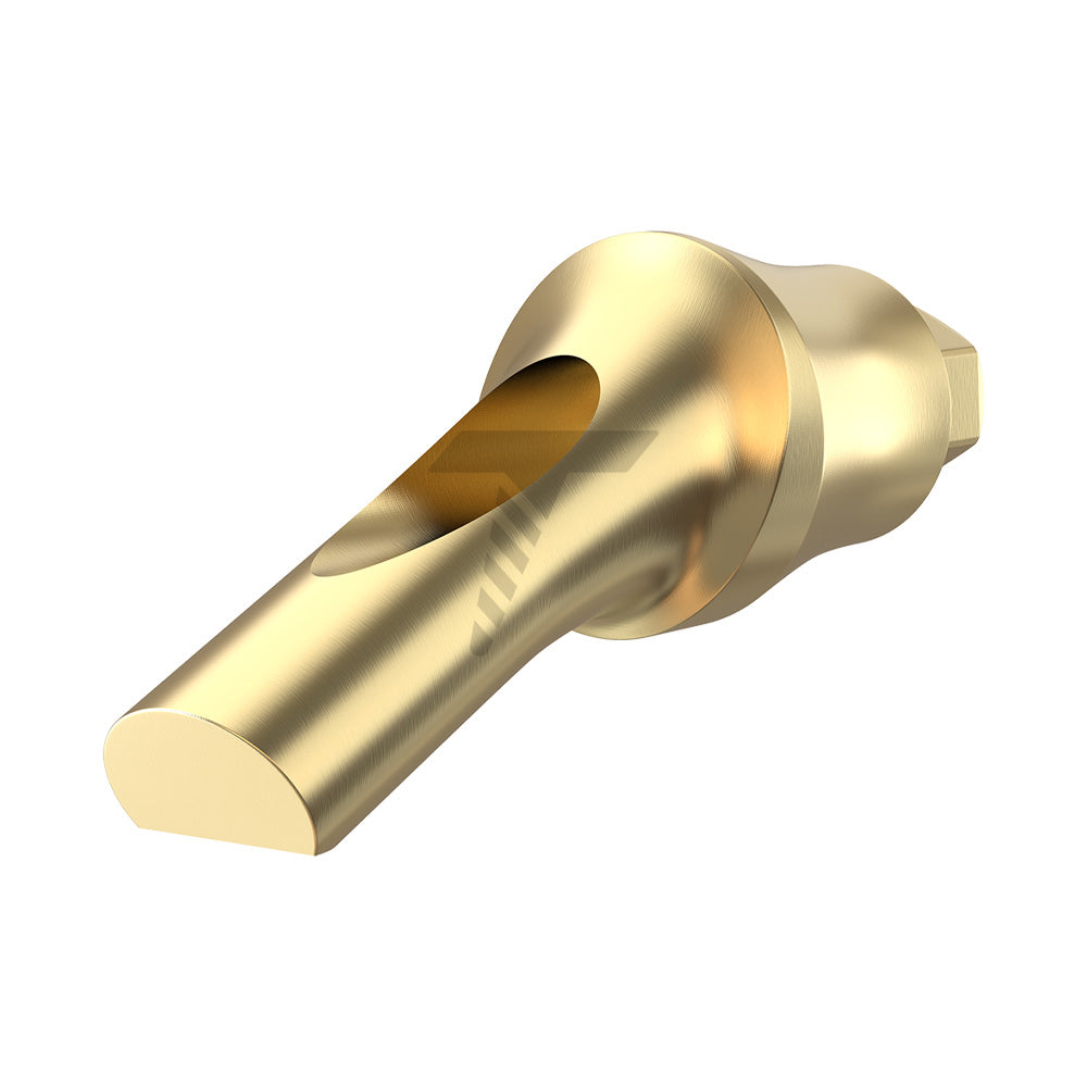 Concave Anatomic Angulated Abutment 25°