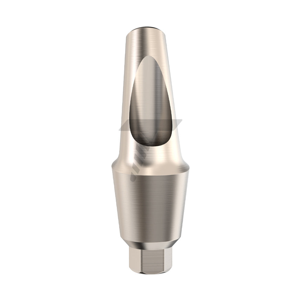 Anatomic Angulated Abutment 25°
