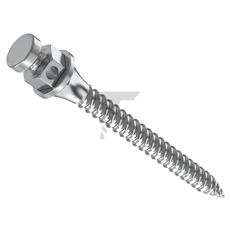 Orthodontic Micro-Implants (TADs)