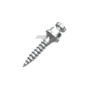 Orthodontic Micro-Implants (TADs)