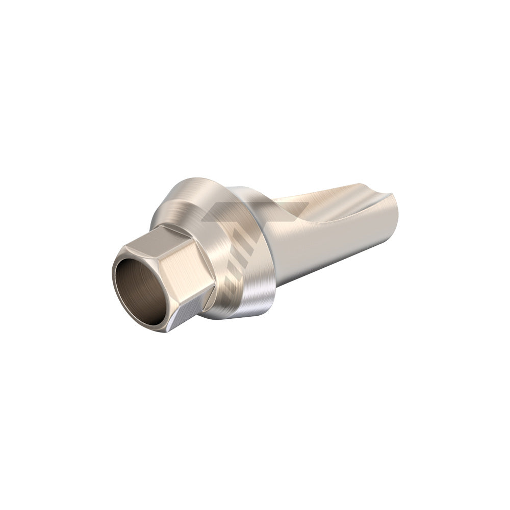 Anatomic Angulated Abutment 15°