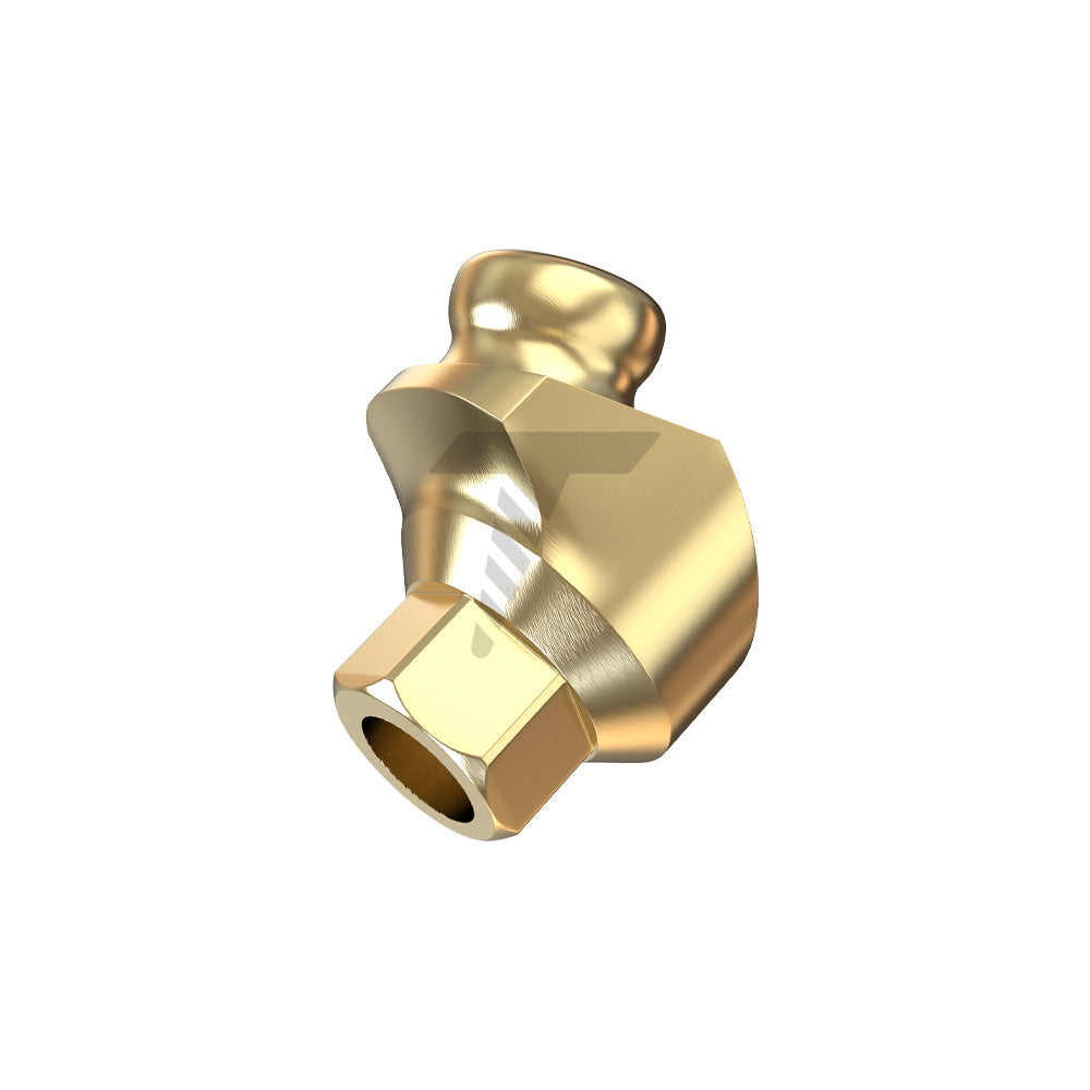 Angulated 30° GdtLoc Attachment