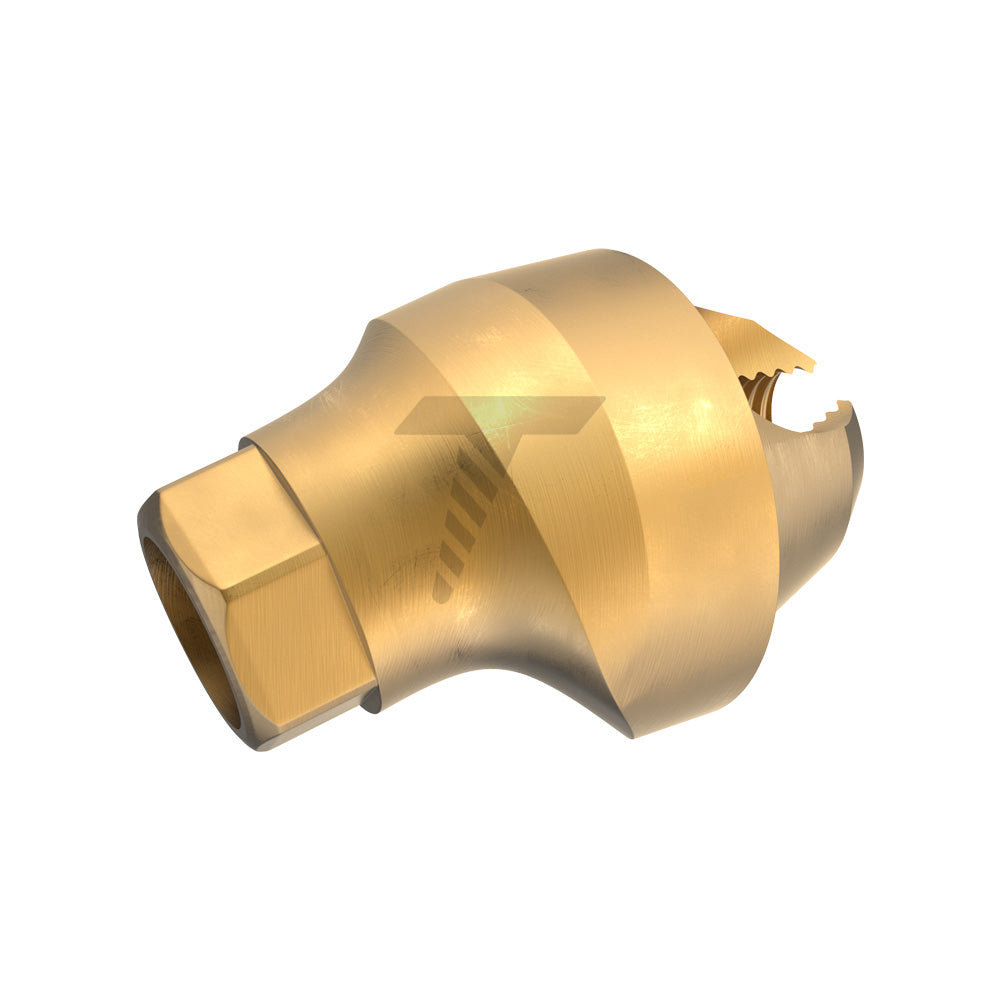 Angulated Multi Unit Abutment 17°