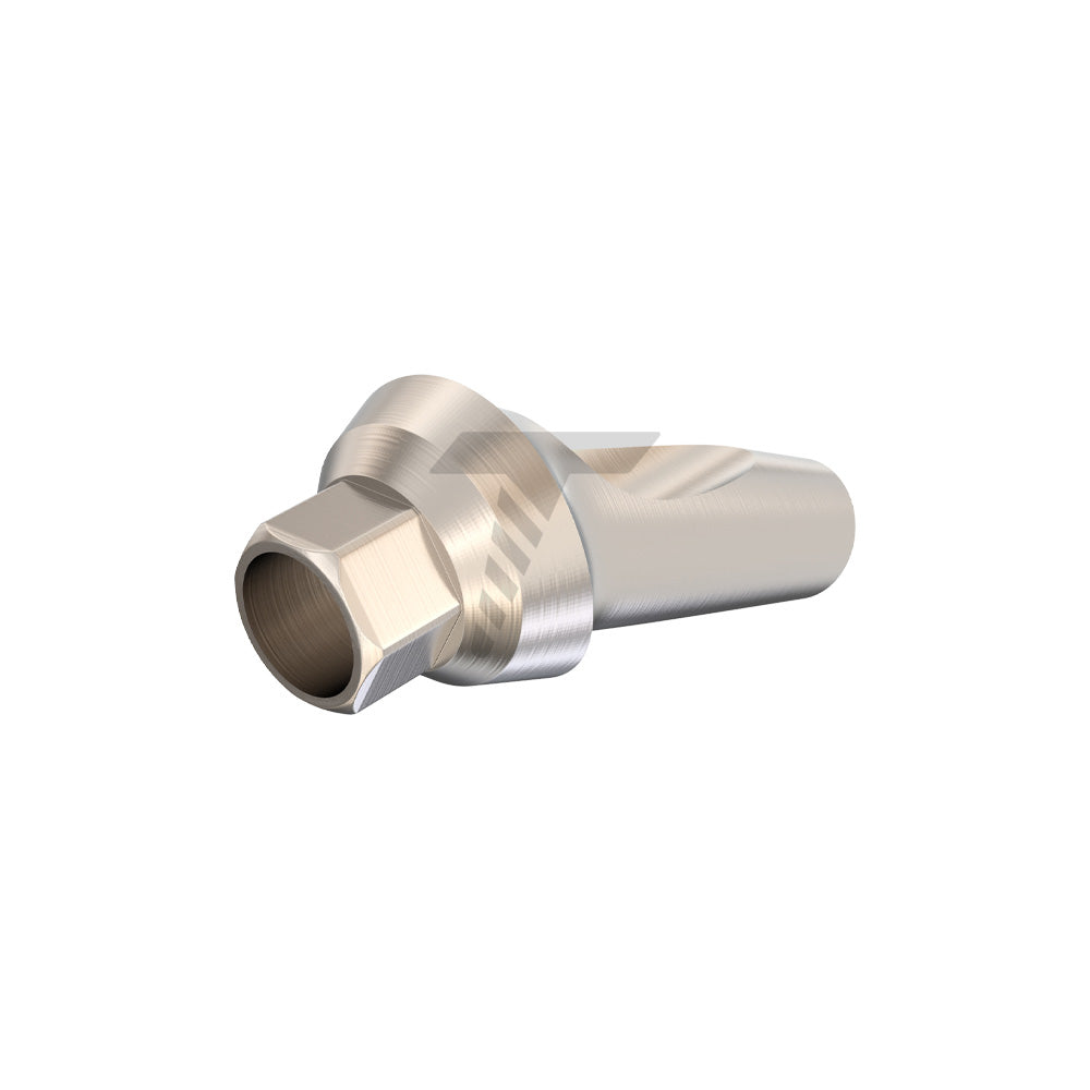 Anatomic Angulated Abutment 25°