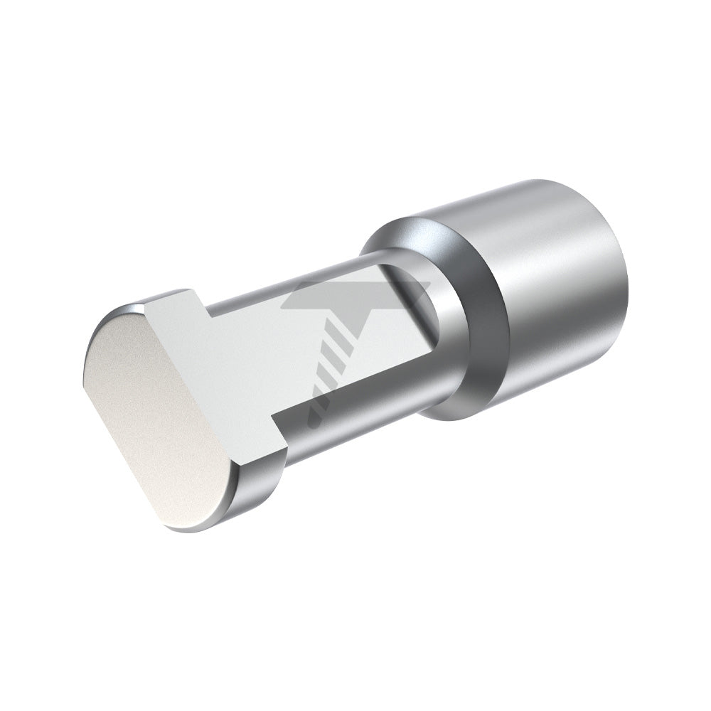 Implant Analog Regular Platform (RP)