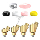 Angulated 30° GdtLoc Attachment Premium Kit