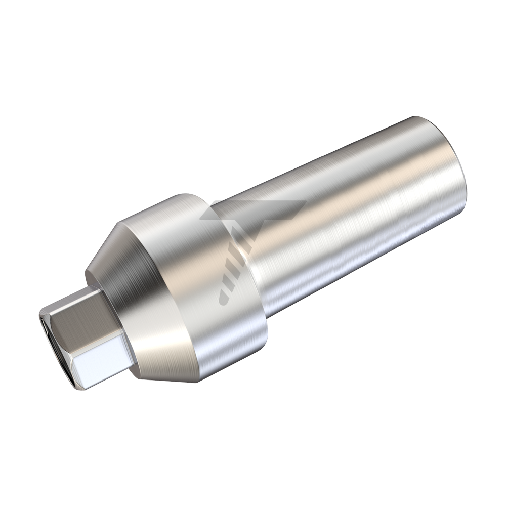 Straight Anatomic Abutment
