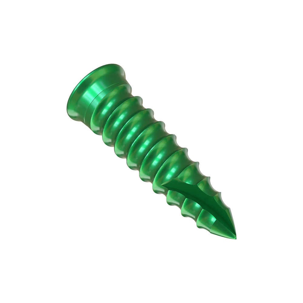Bone Screws