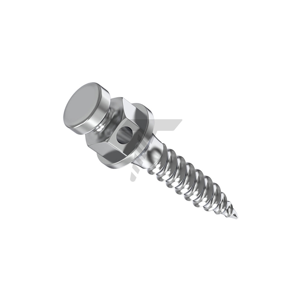 Orthodontic Micro-Implants (TADs)