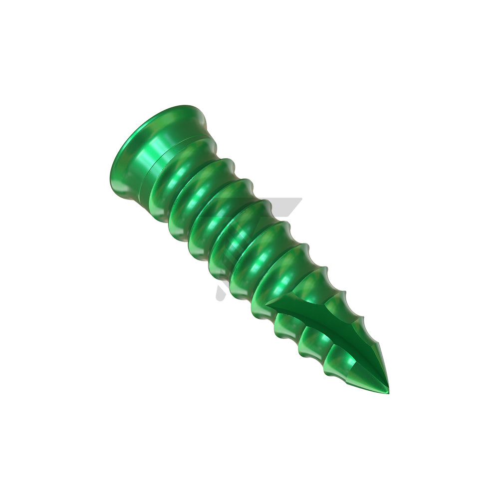 Bone Screws