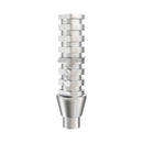 Rotational Titanium Temporary Abutment Narrow Platform (NP)