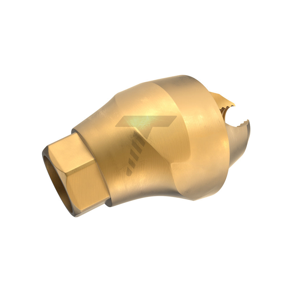 Angulated Multi Unit Abutment 17°