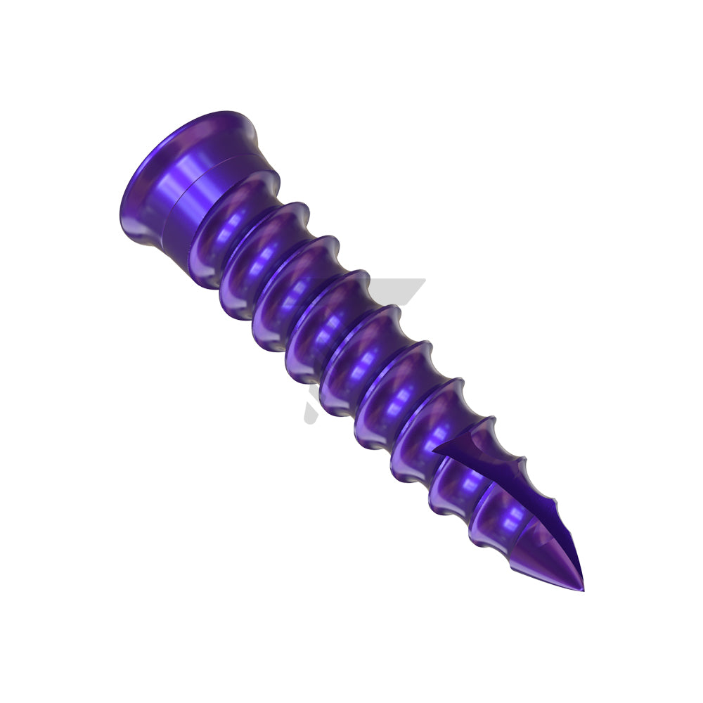 Bone Screws