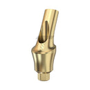 Concave Anatomic Angulated Abutment 25°