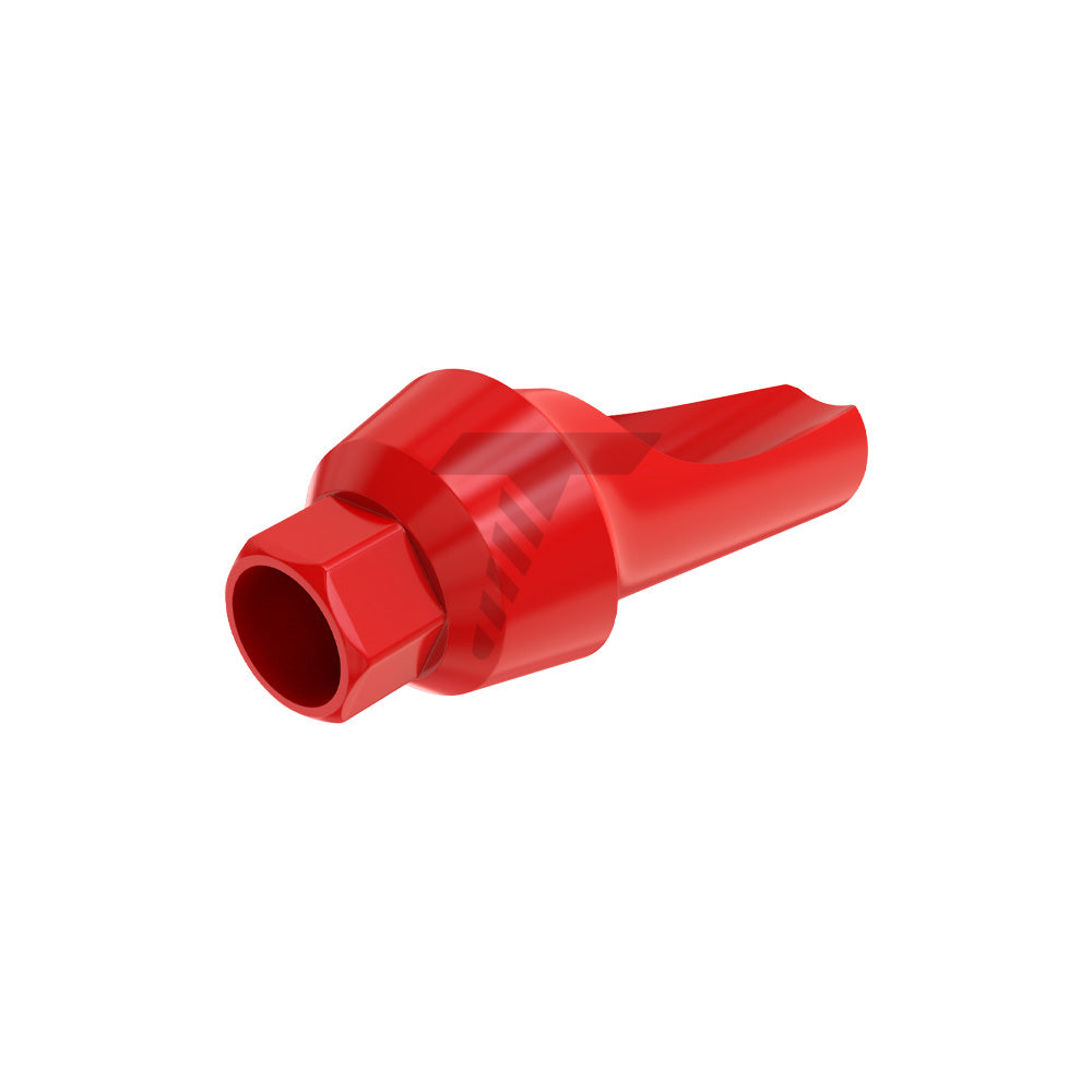 Angulated Anatomic Fully Castable Abutment 15°