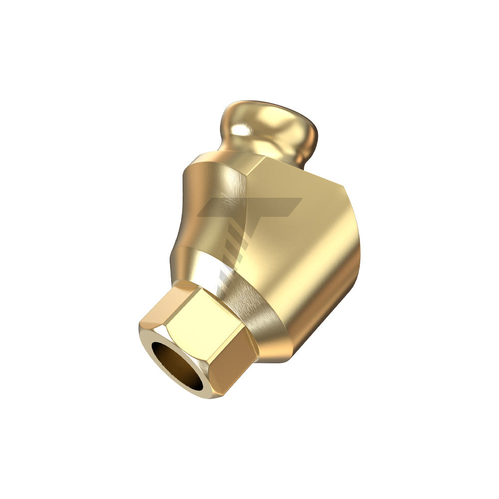 Angulated 30° GdtLoc Attachment