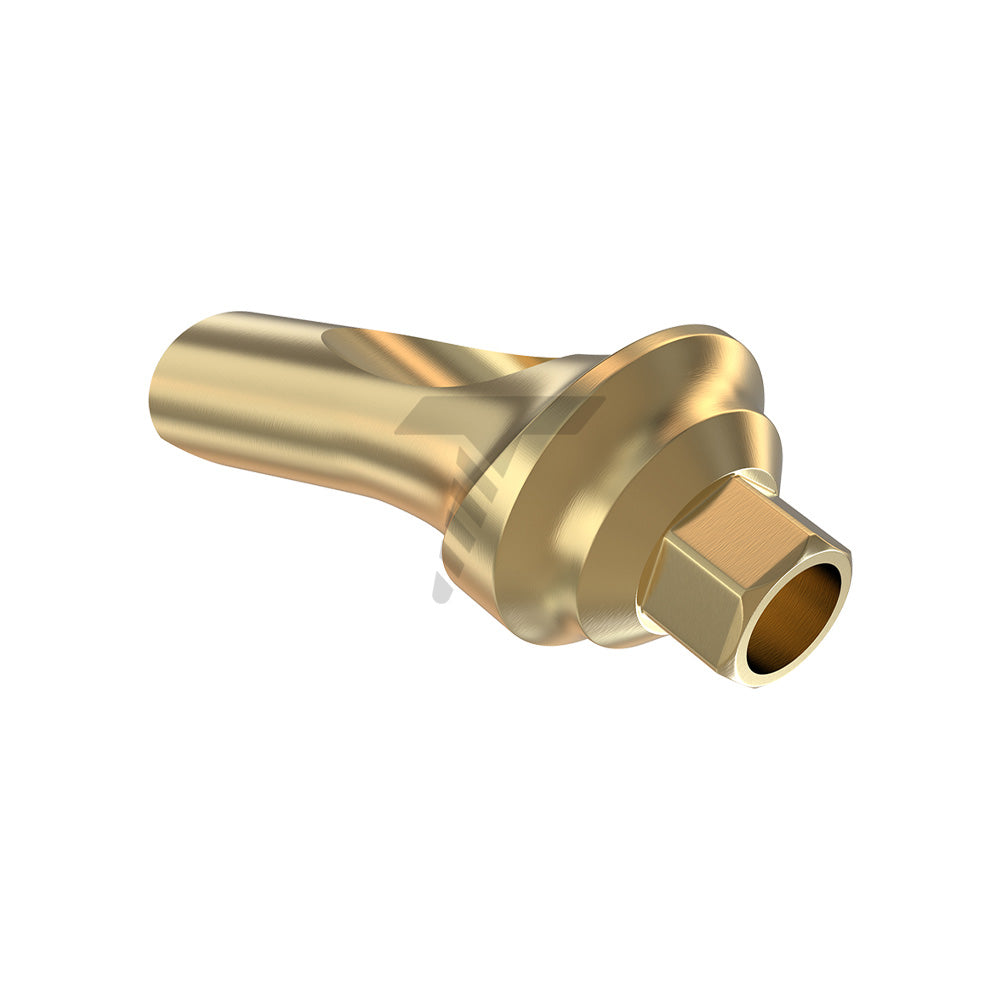 Concave Anatomic Angulated Abutment 25°