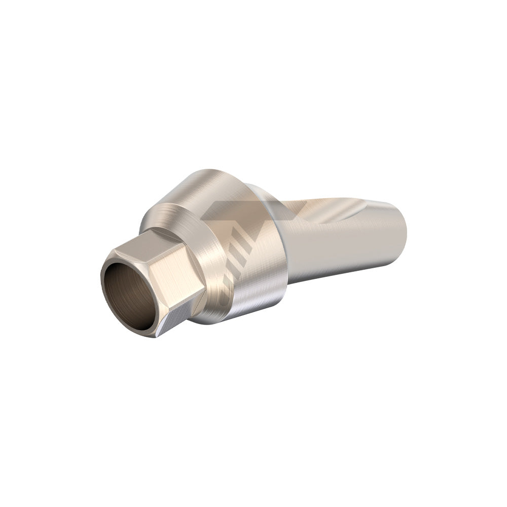 Anatomic Angulated Abutment 25°