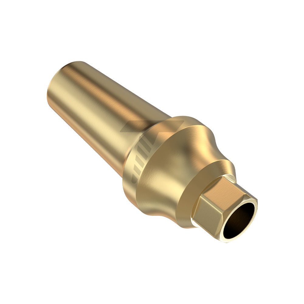 Concave Anatomic Straight Abutment