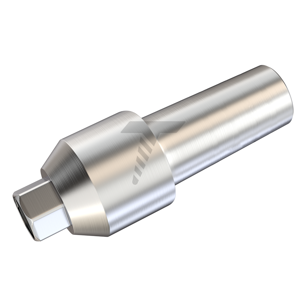 Straight Anatomic Abutment