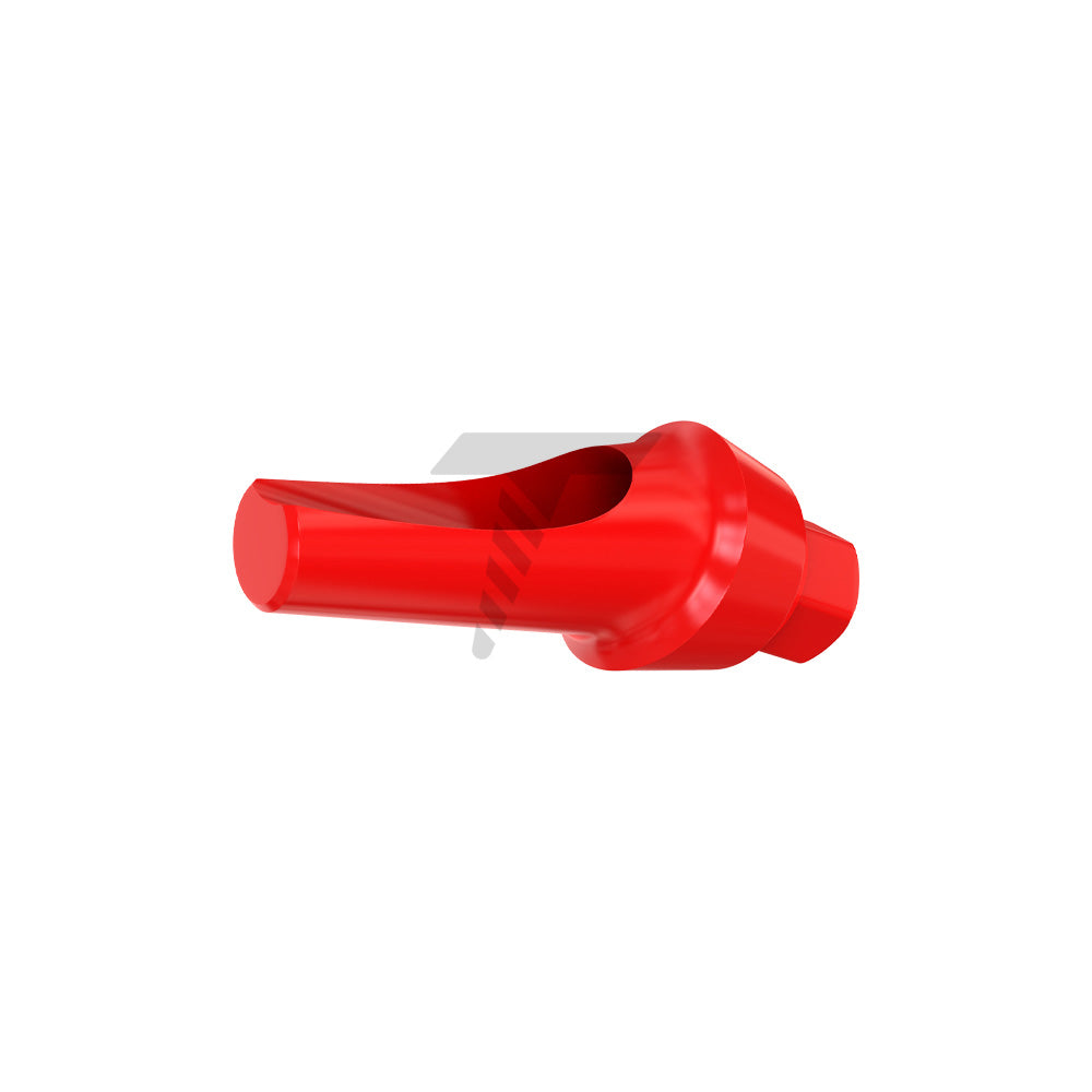 Angulated Anatomic Fully Castable Abutment 15°