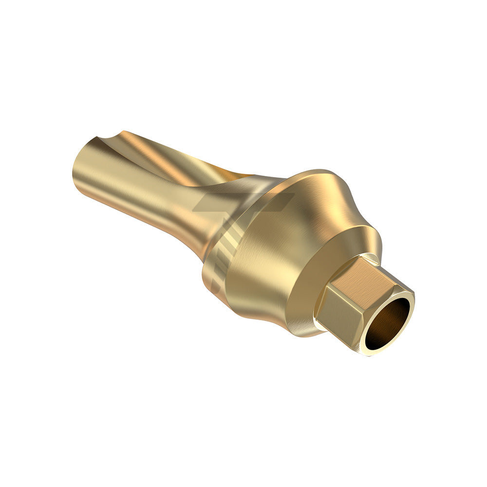 Concave Anatomic Angulated Abutment 15°
