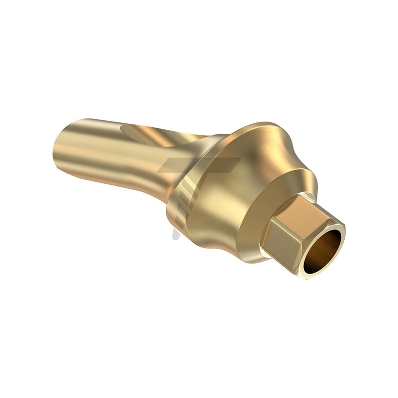 Concave Anatomic Angulated Abutment 25°