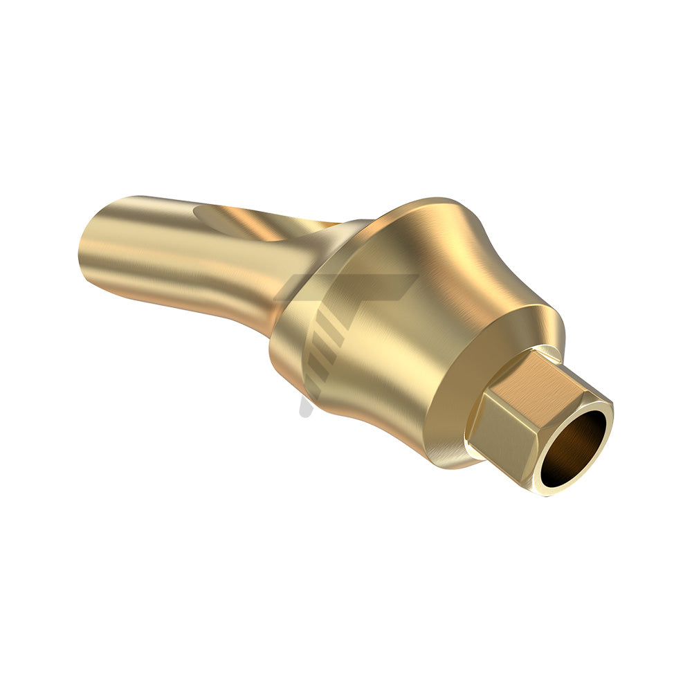 Concave Anatomic Angulated Abutment 25°