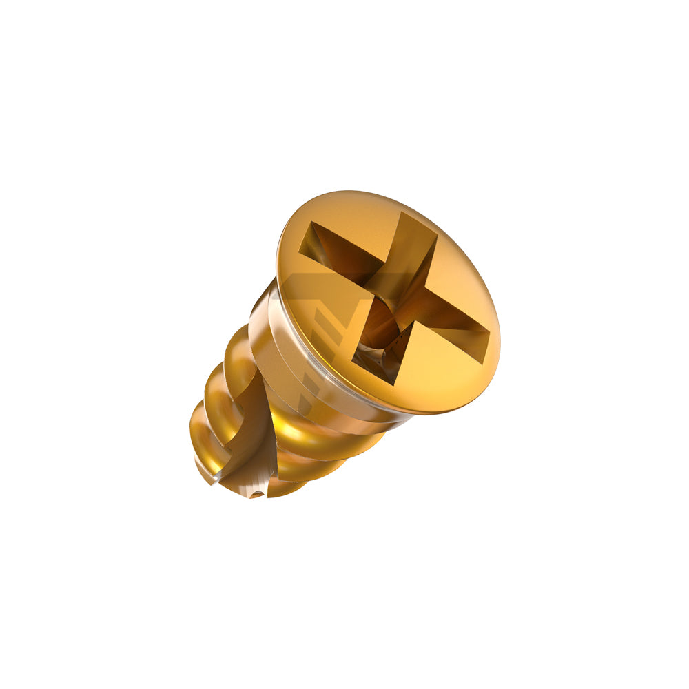 GBR Bone Screws