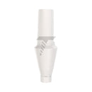Peek Temporary Anatomic Straight Abutment Narrow Platform (NP)