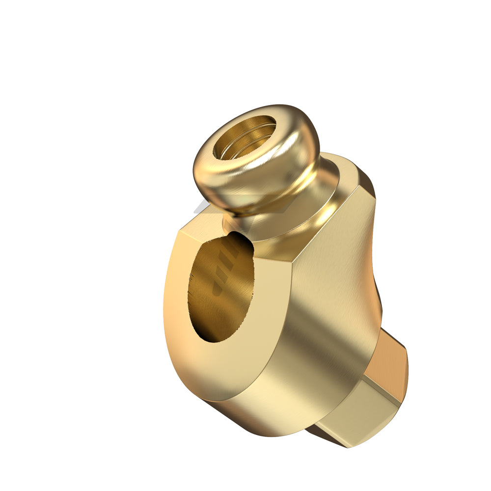Angulated 18° GdtLoc Attachment