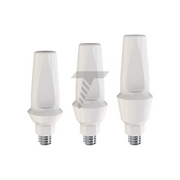 Peek Temporary Anatomic Straight Abutment
