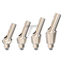 Anatomic Angulated Abutment 25°