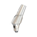 Angulated Abutment 25° Regular Platform (RP)
